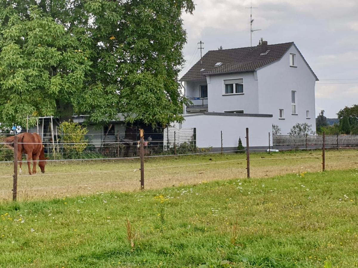 Haus Im Grünen *